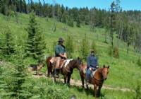 Ty on Baileys Inkling and Kim on Shesa Frosty Nic taking a break going up a long hill.